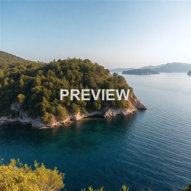 turkish-forests-island-b4cfa7_250319182646_Filename Text 2_04074_Filename Text 3_result